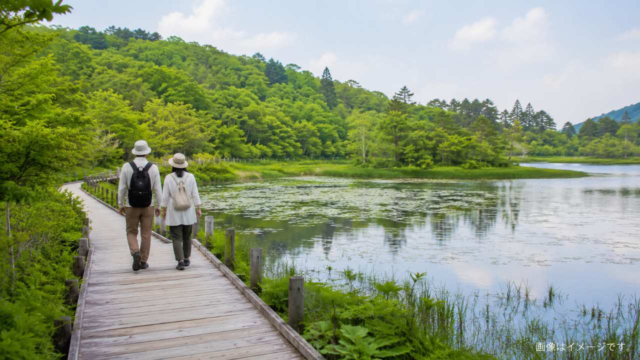 レンゲ沼の木道をゆっくり散策する旅行者